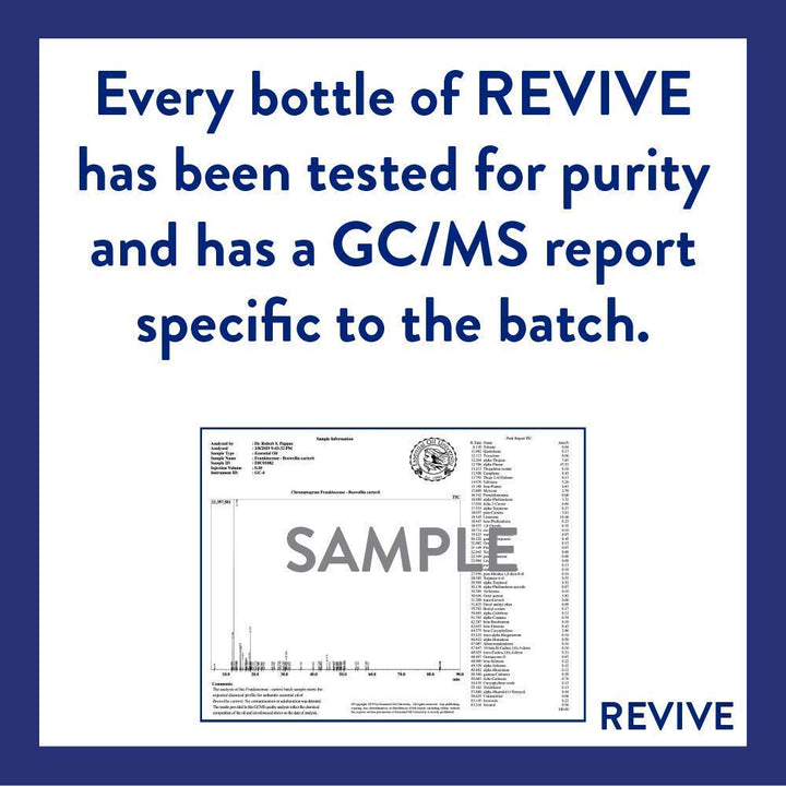 REVIVEEO Pumpkin Pie skincare routine emphasizing comforting scent