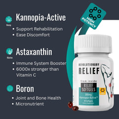 Kannopia-Active astaxanthin ingredient close-up emphasizing antioxidant support