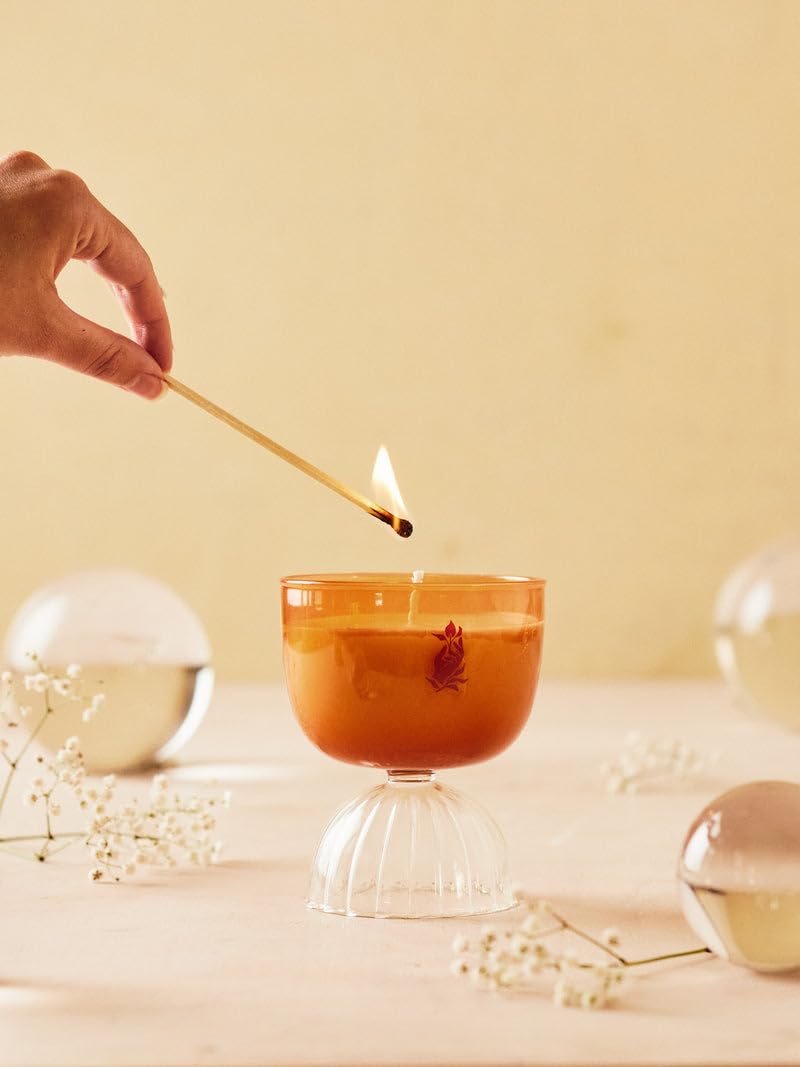 Rewined Mimosa Sparkling Candle in coupe glass, inviting ambience for gatherings.