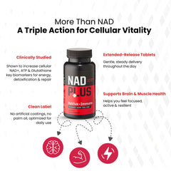 RiaGev-SR ingredient visualization supports cellular NAD production.