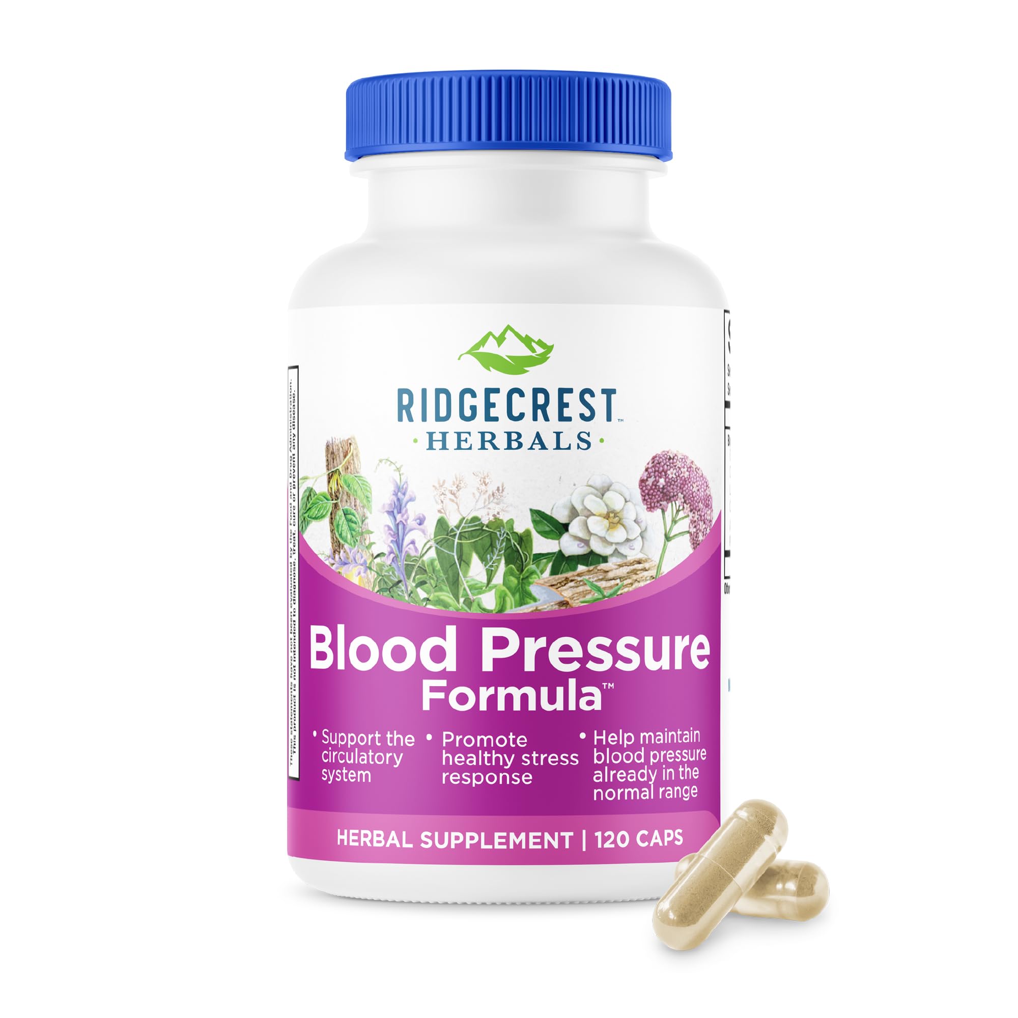 Ridgcrest Blood Pressure Formula bottle on a tidy surface emphasizing a natural circulatory support blend.