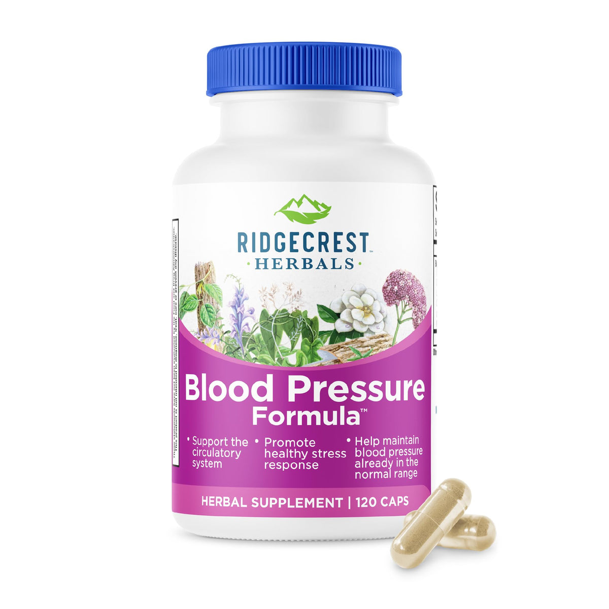 Ridgcrest Blood Pressure Formula bottle on a tidy surface emphasizing a natural circulatory support blend.