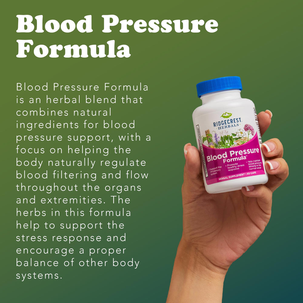 RidgeCrest Blood Pressure Formula ingredients image showcases 12 herbs and mushrooms for balance.