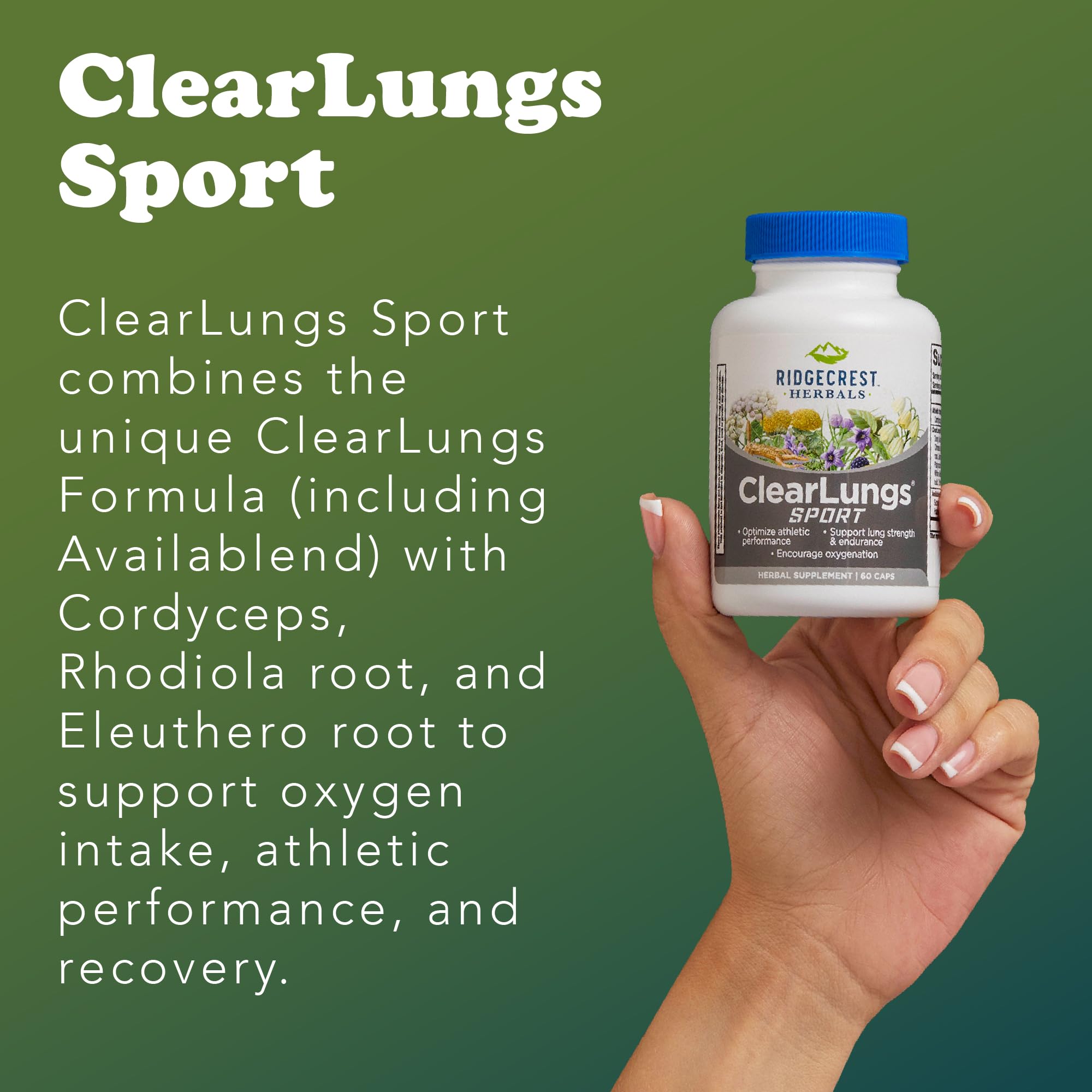 Infographic of the 13 natural ingredients in ClearLungs