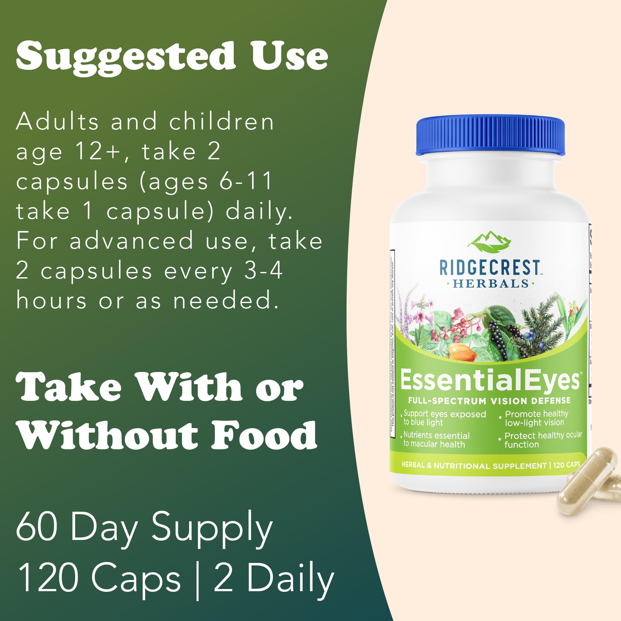 Illustration of Bilberry and Eyebright ingredients used in EssentialEyes