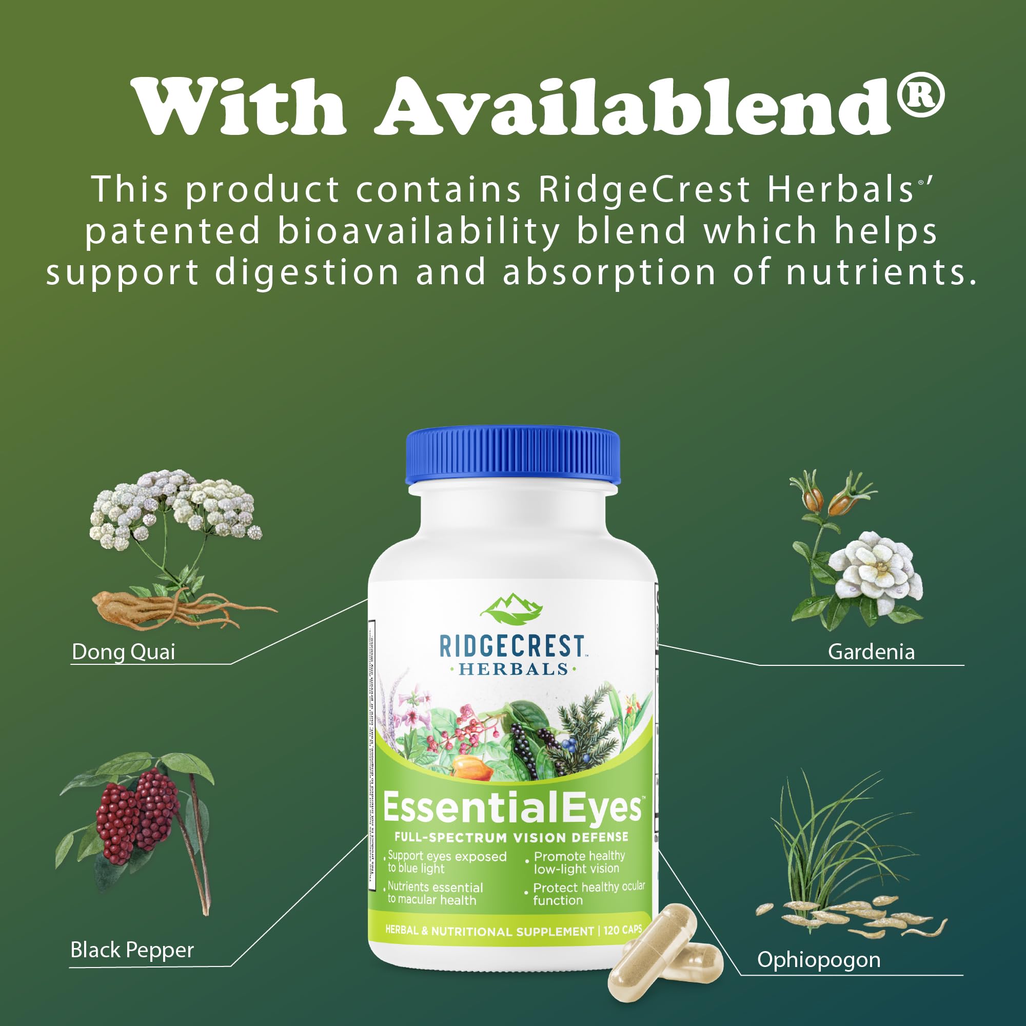 RidgeCrest EssentialEyes packaging close-up on vegan-friendly box