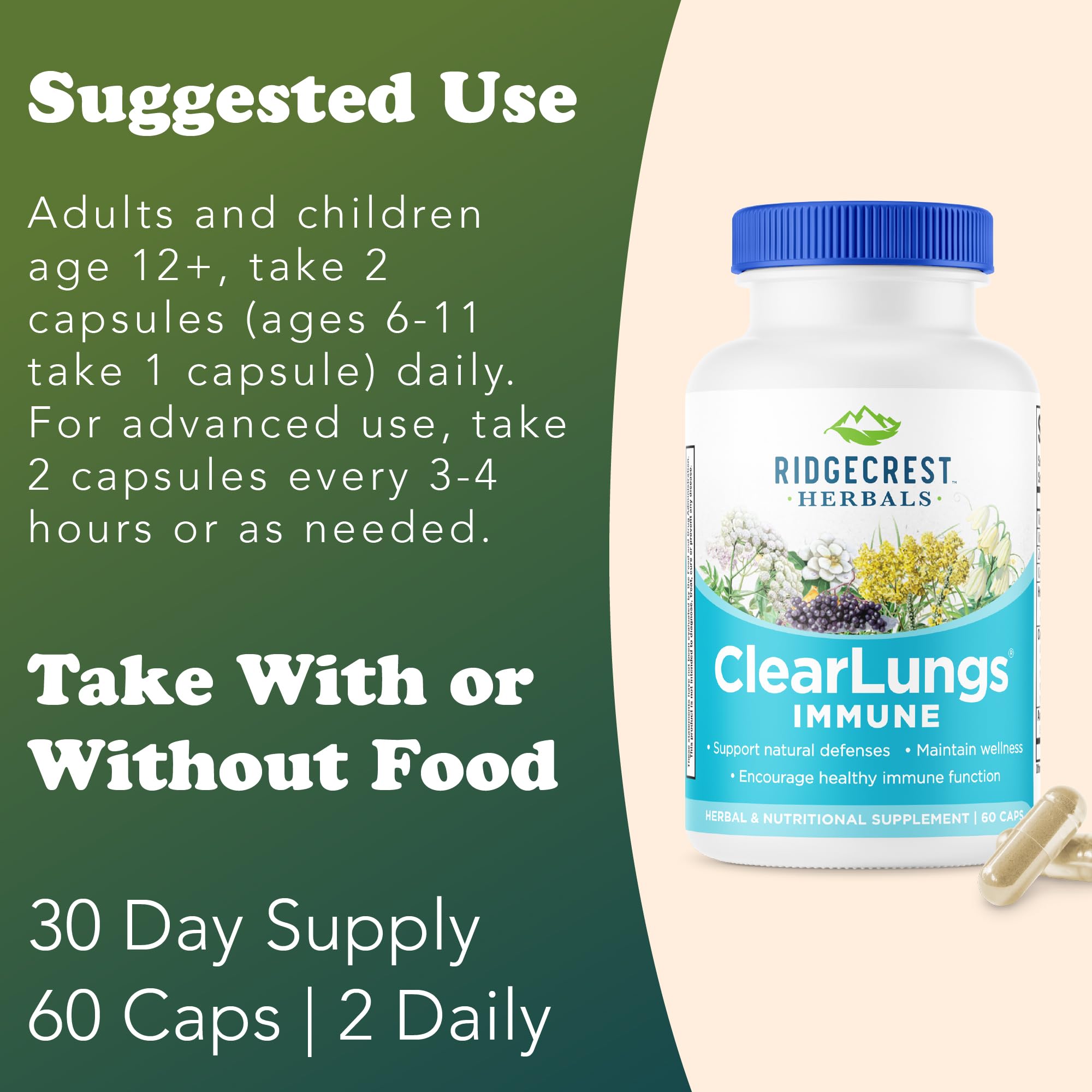 Elderberry visuals with RidgeCrest ClearLungs Immune for immune support imagery.