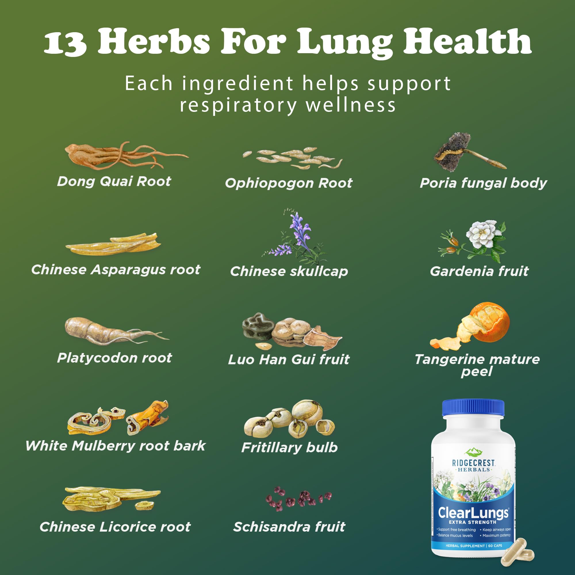 RidgeCrest ClearLungs lifestyle shot during outdoor exercise.