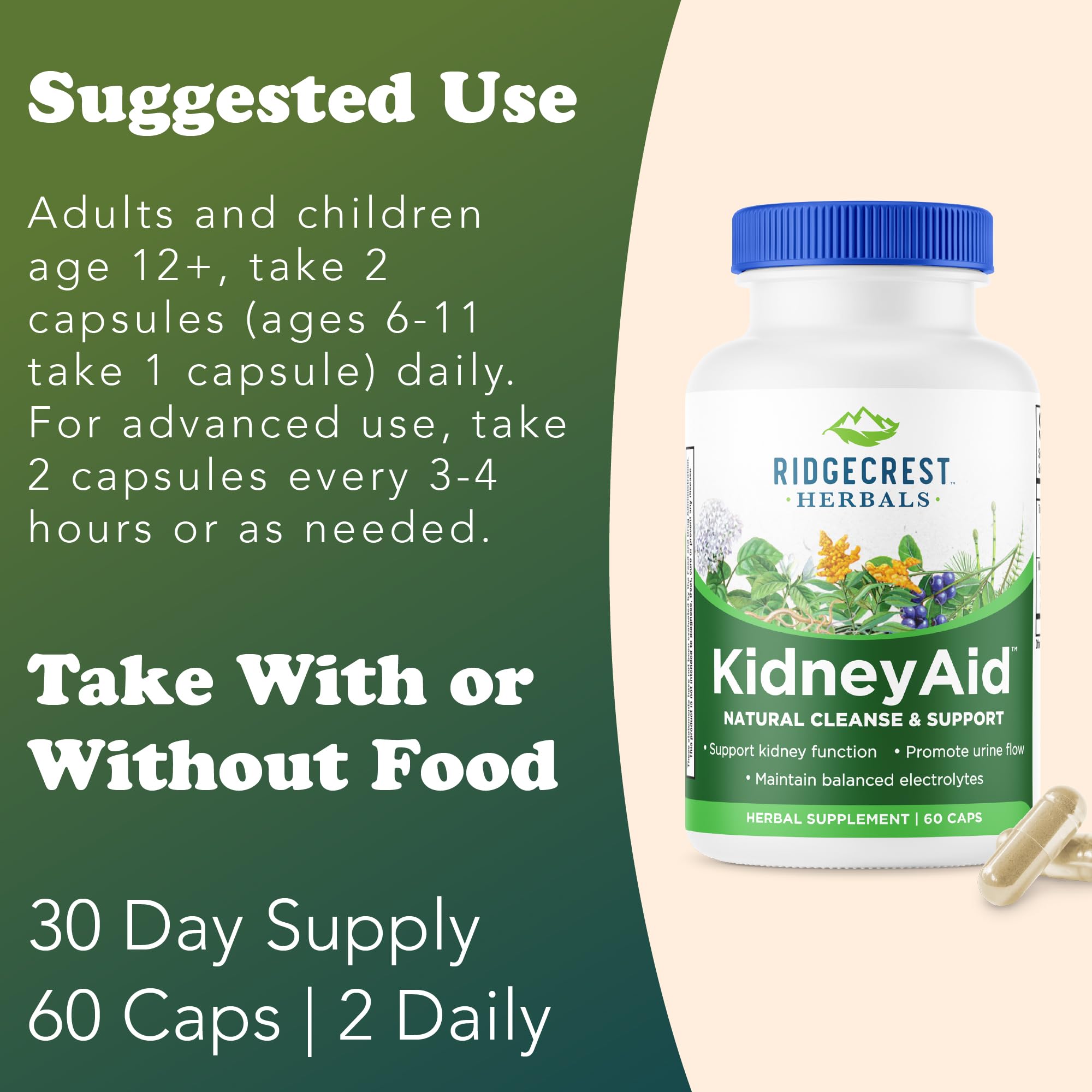 RidgeCrest KidneyAid horsetail herb component in the mix for natural support