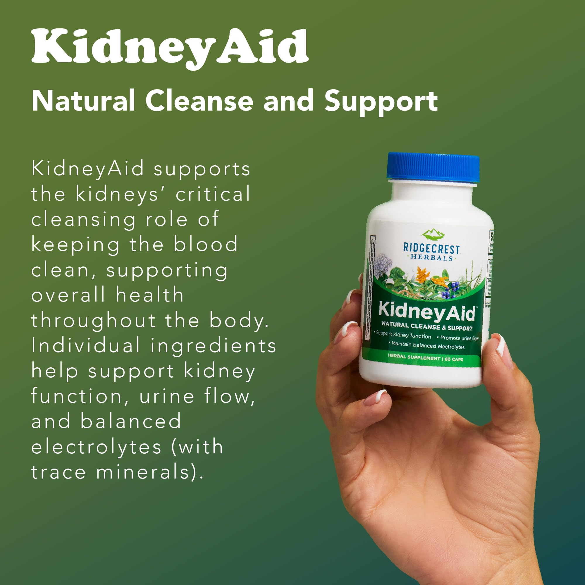 RidgeCrest KidneyAid natural ingredients list featuring botanicals and minerals