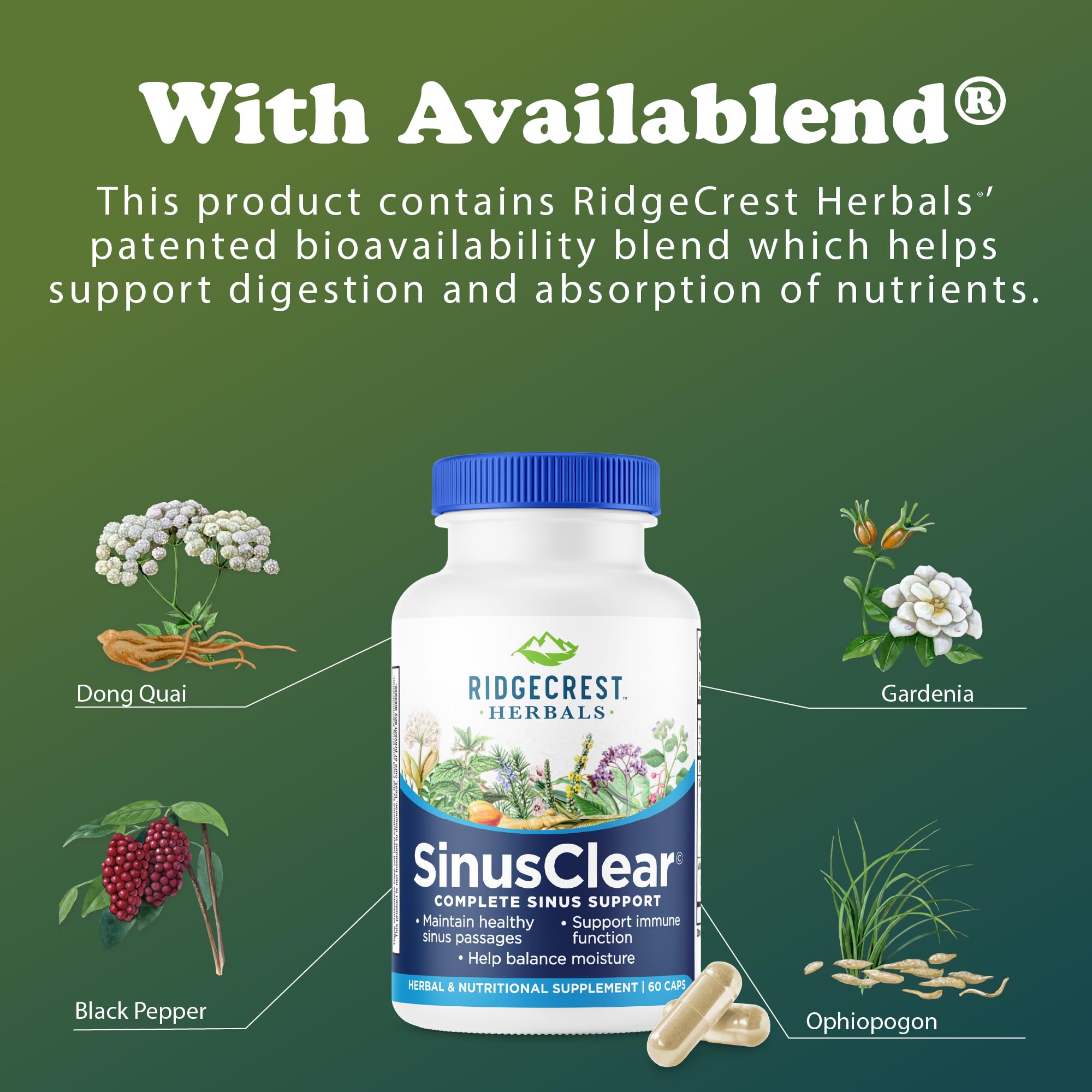 RidgeCrest SinusClear dispensing cap designed for simple daily intake.
