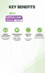 Rimo Lotus Capsules blister pack displays pure lotus extract for balance.