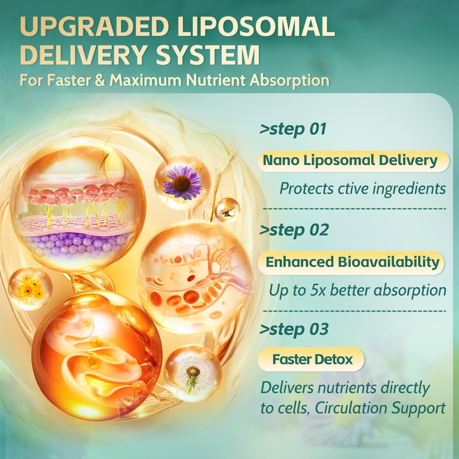 RiseLuxun 21in1 liposomal lymphatic drainage packaging box shows 100-day supply