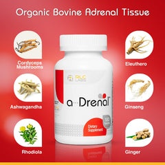 RLC Labs a-Drenal capsules closeup highlighting convenient daily capsules for energy and mood