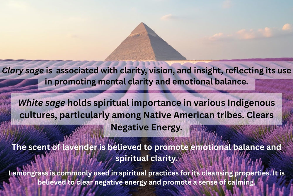Robyn Hyatt Sage On Sage packaging emphasizes convenience and modern spiritual cleansing.
