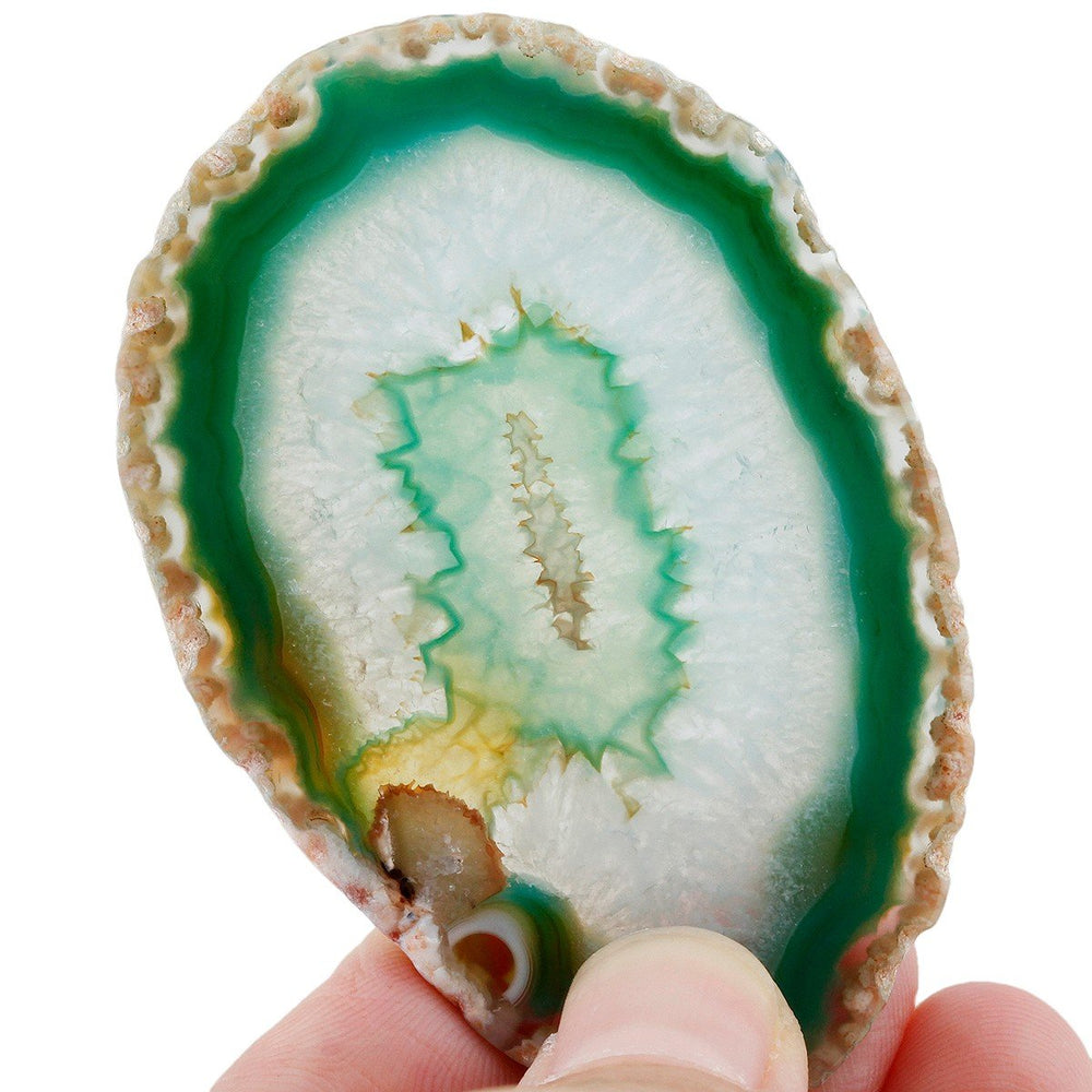 Rockcloud green agate slice with rugged edge enhances DIY jewelry projects.