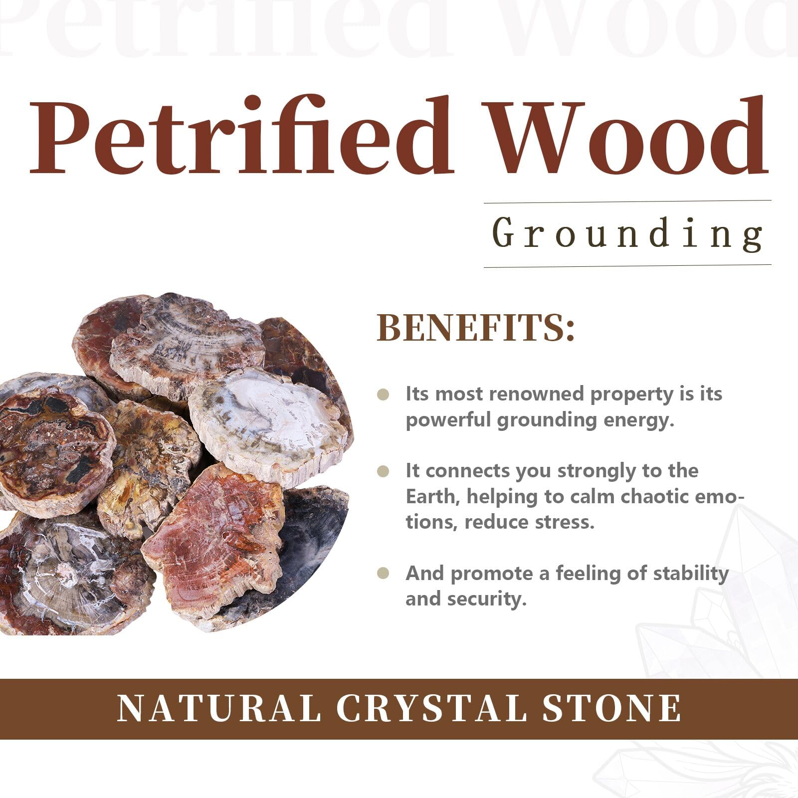 Rockcloud worry stone irregular petrified wood close-up showing smooth polish
