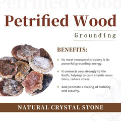 Rockcloud worry stone irregular petrified wood close-up showing smooth polish