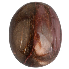 Rockcloud worry stone irregular petrified wood detailed carving