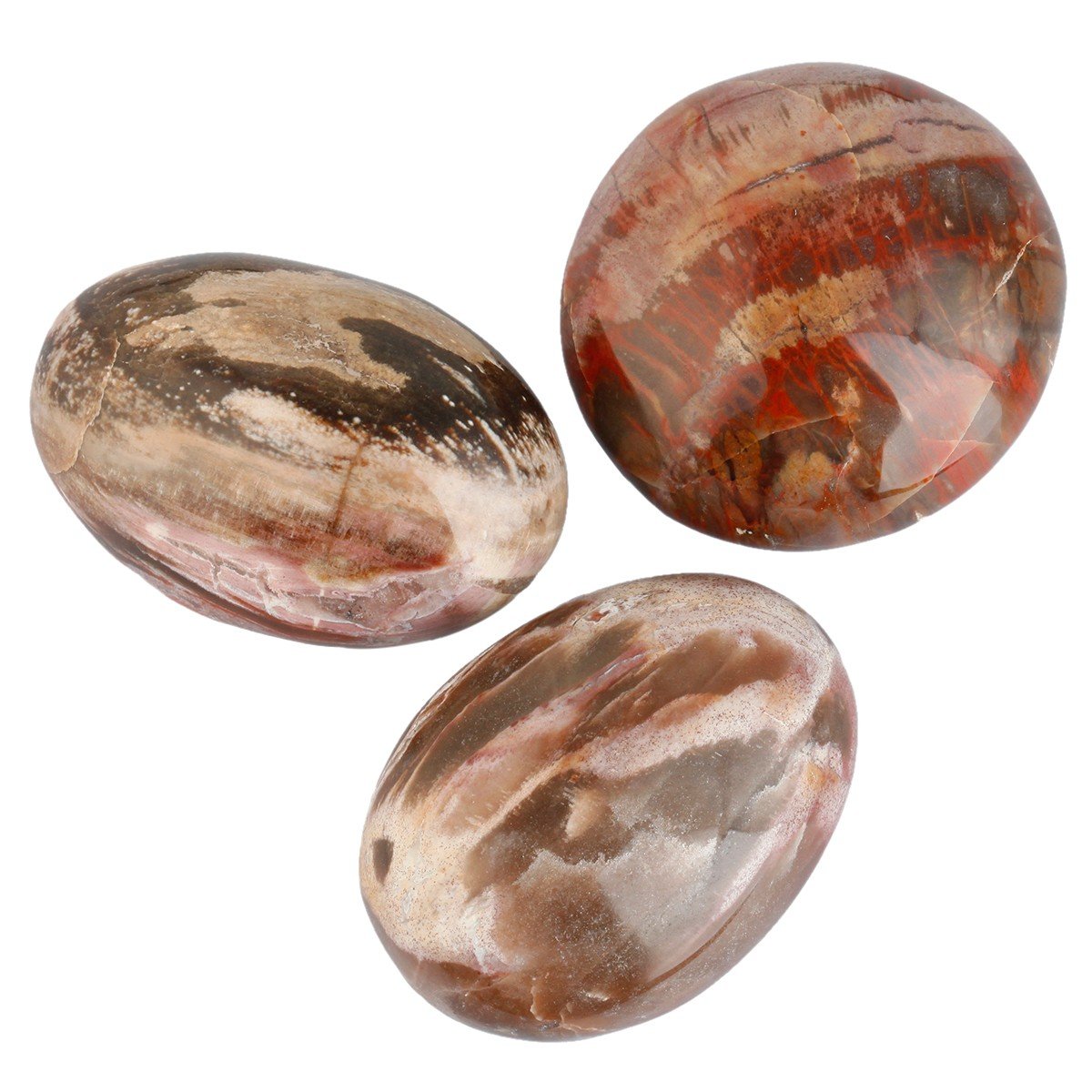 Rockcloud worry stone irregular petrified wood displayed for grid or chakra work