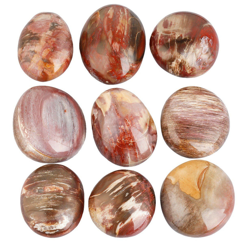 Rockcloud worry stone irregular petrified wood with velvet gift bag