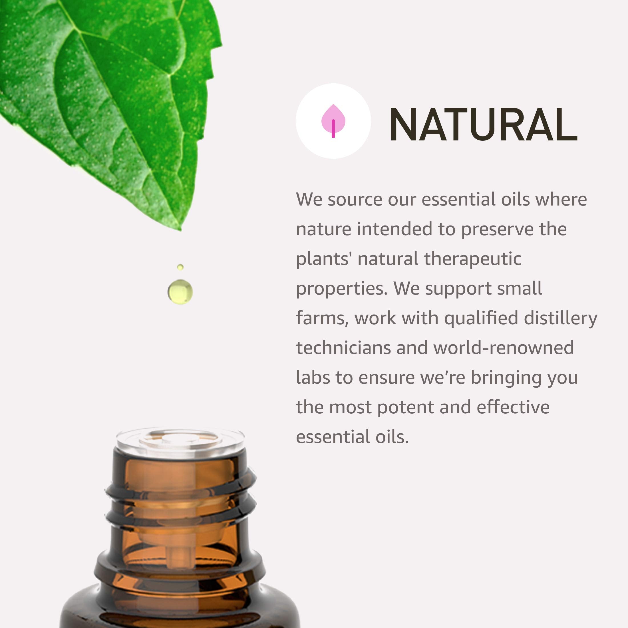 Rocky Mountain Oils Aligning image shows a calm desk scene with balance
