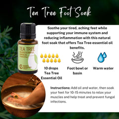 Rocky Mountain Oils Tea Tree oil on skin care routine with topical use potential