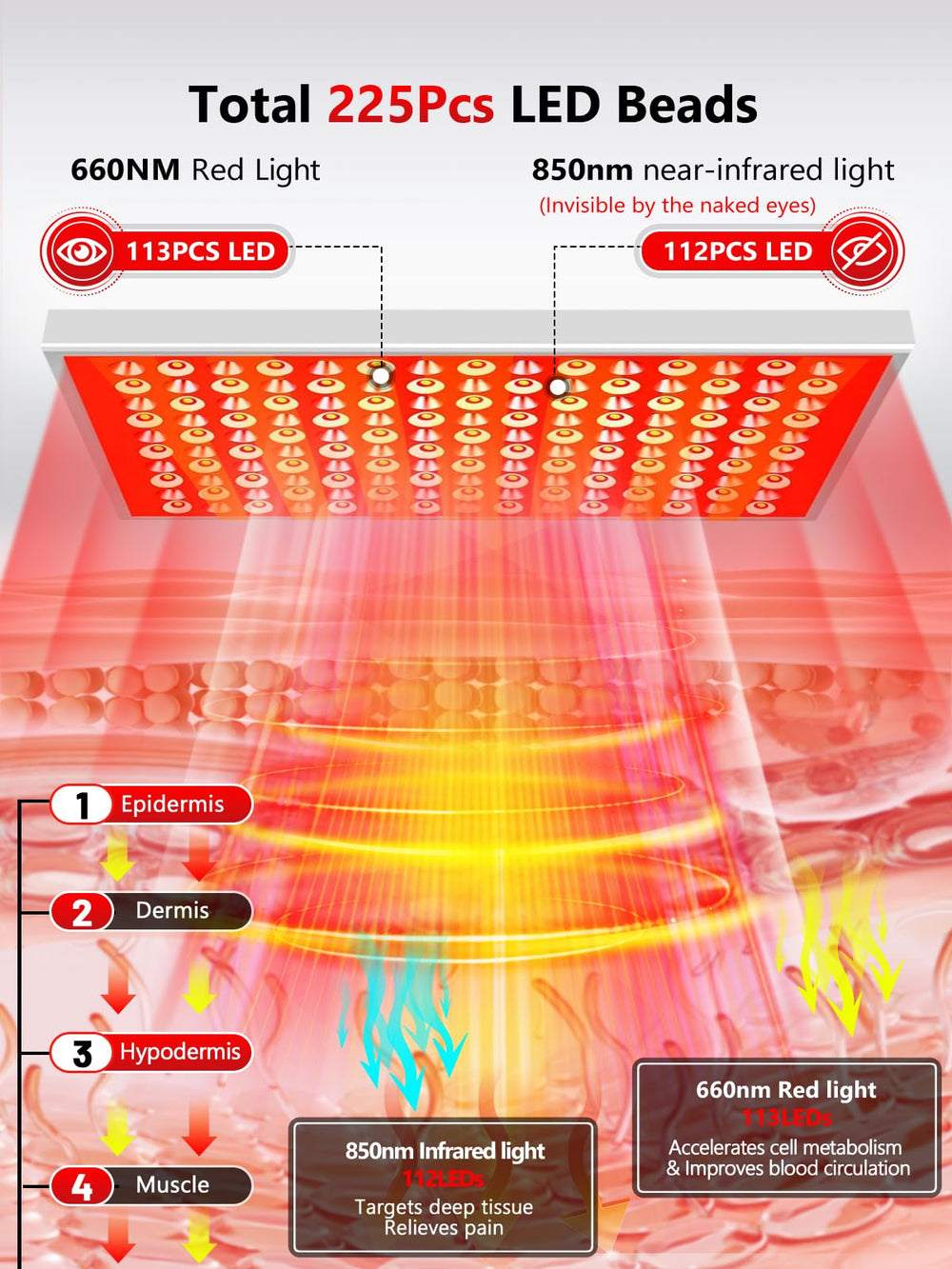 ROMISA large panel delivering even light coverage across body