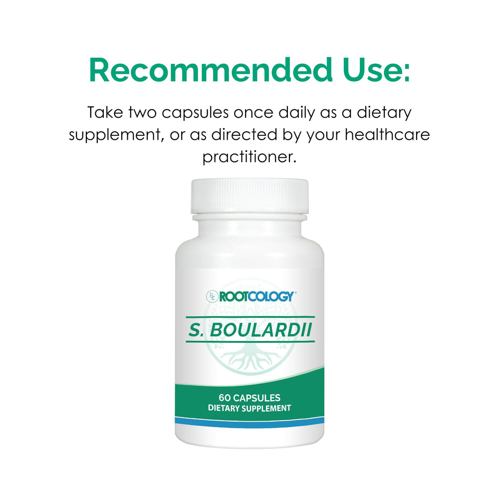 Rootcology S boulardii capsules on counter ready for daily use with water.