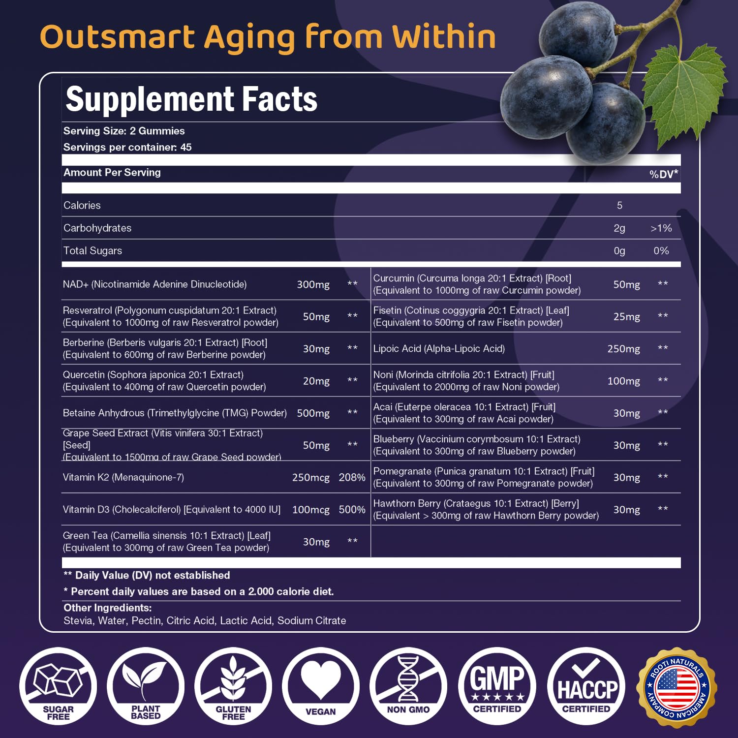 ROOTI NAD+ Plus 500mg TMG bottle close-up for methylation support