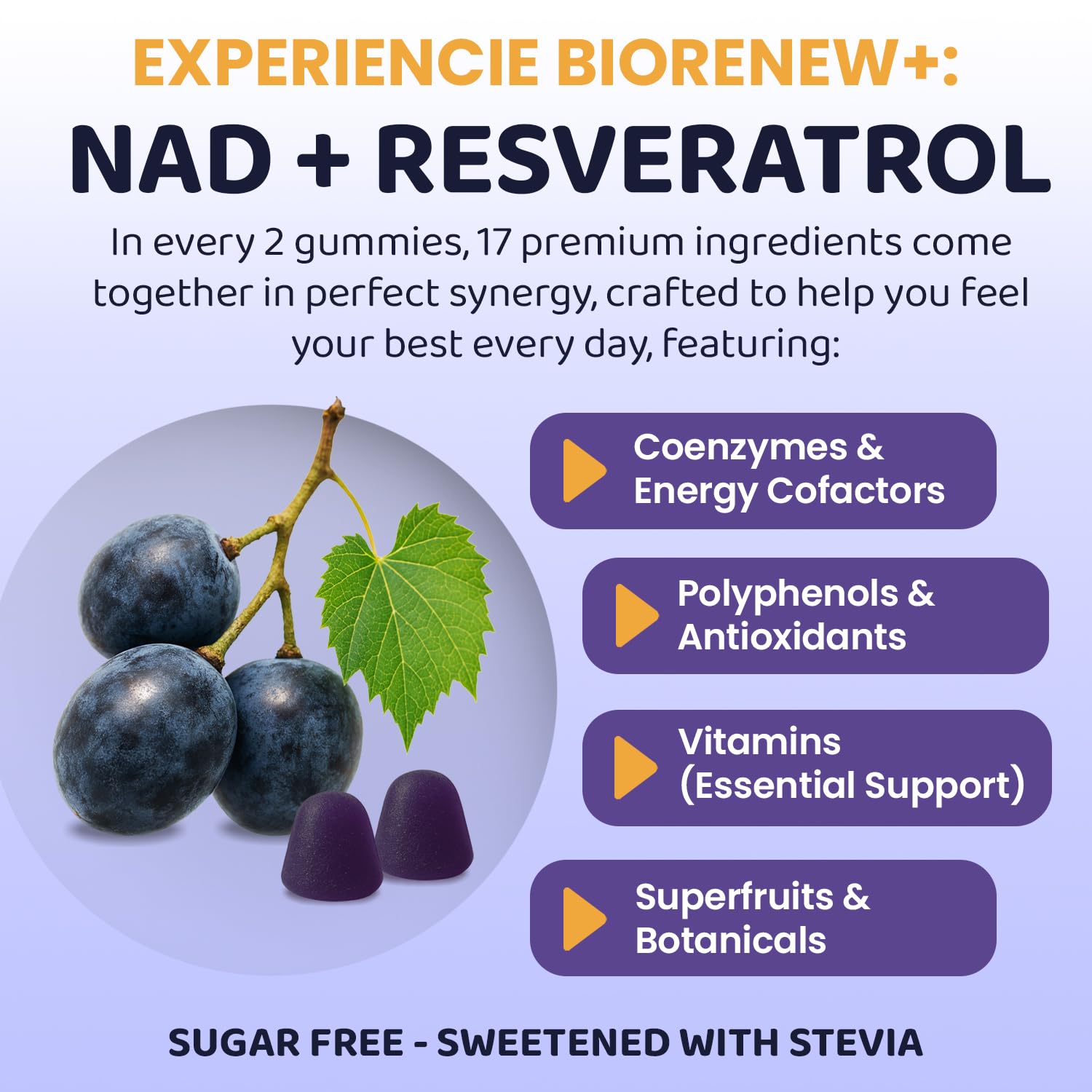 ROOTI NAD+ Plus ingredients label with 18-in-1 vitality matrix