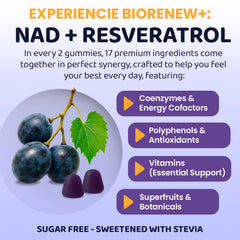 ROOTI NAD+ Plus ingredients label with 18-in-1 vitality matrix