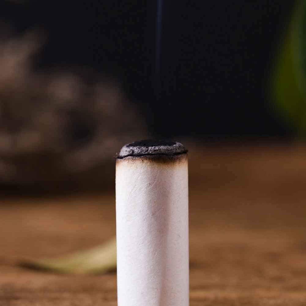 ROPPYAR Pure Moxa Rolls box of 10 for easy use.