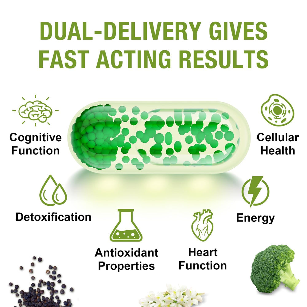 Rosmolo daily-use morning routine depiction encourages consistent supplementation.