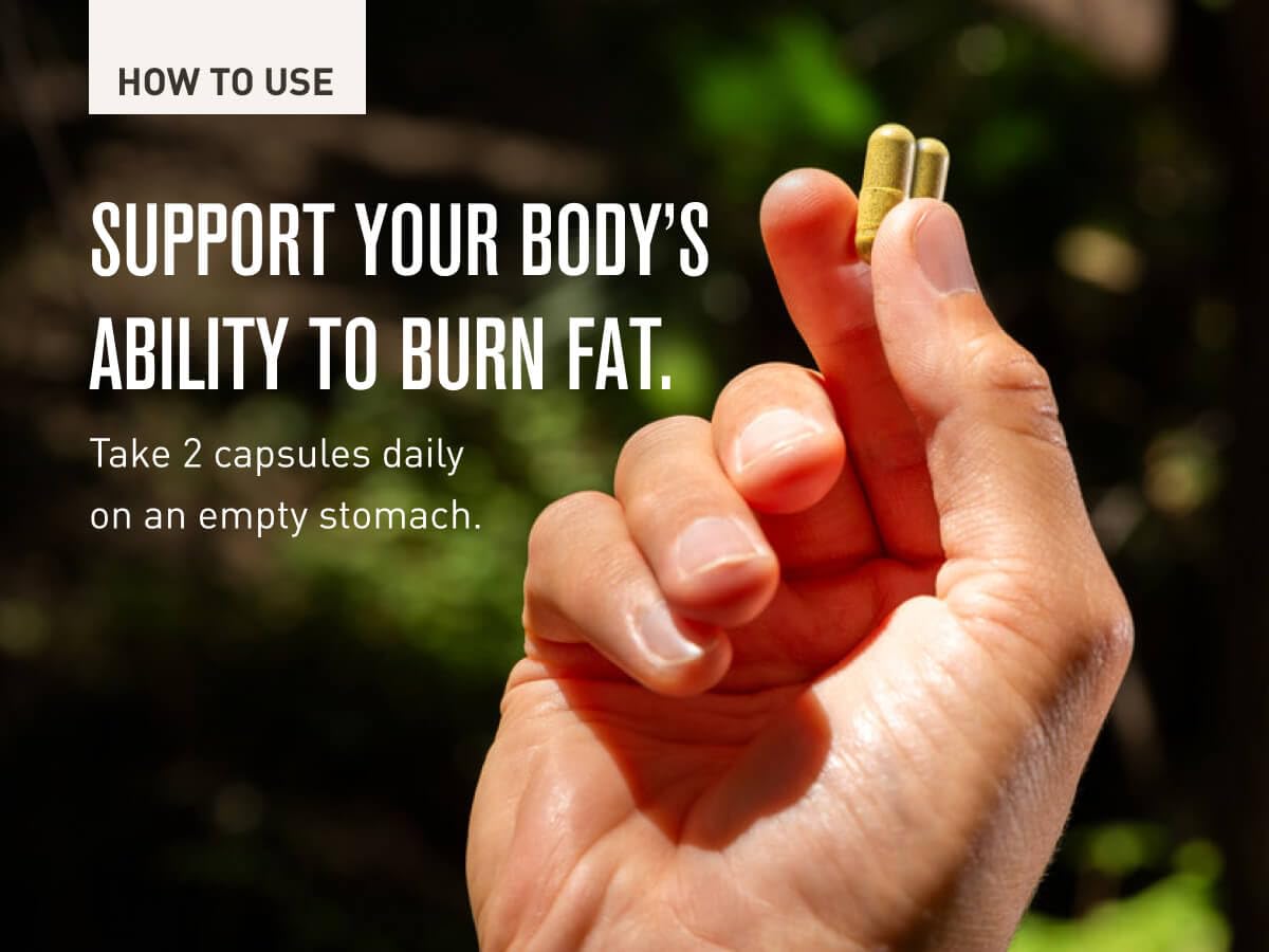 ROUNDHOUSE PROVISION Three Hit Combo stacked capsules for simple supplementation