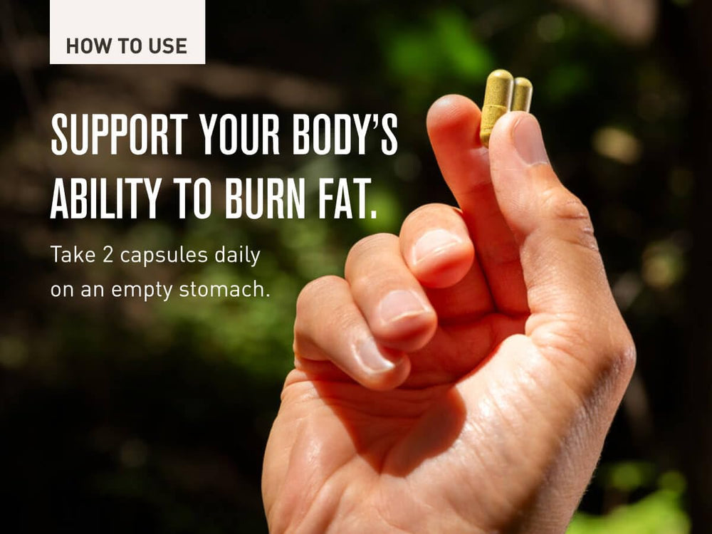 ROUNDHOUSE PROVISION Three Hit Combo stacked capsules for simple supplementation