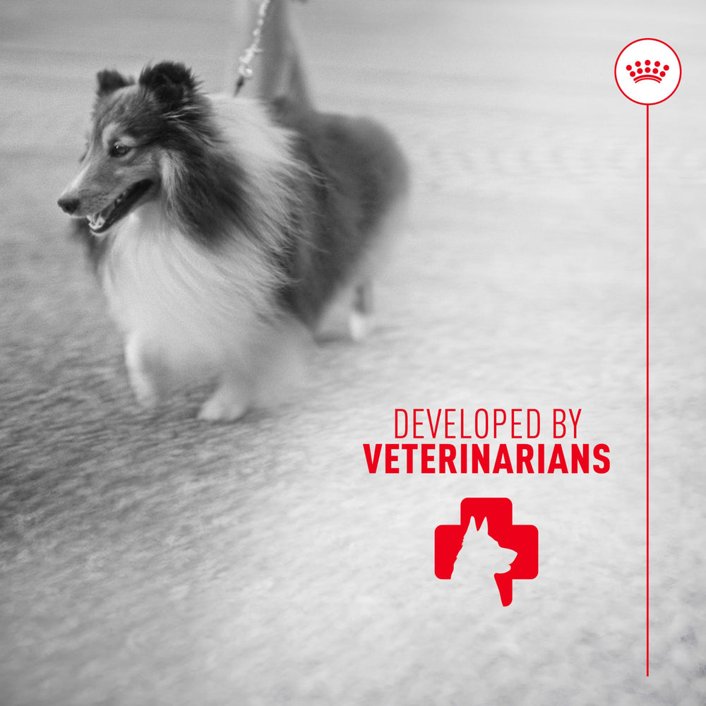 Label emphasizes vet-developed formulation and brand trust