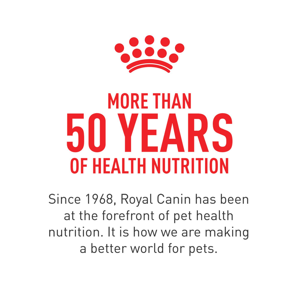 Shiny coat potential from regular Royal Canin chews