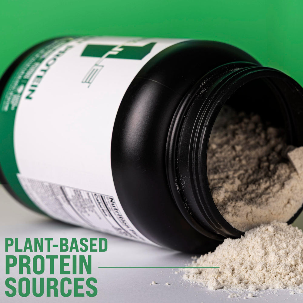 Rule 1 Plant Protein stevia-sweetened formula for clean flavor