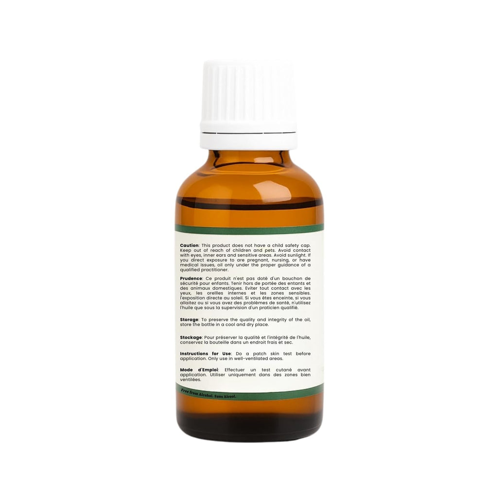 RV Essential Aniseed Oil with dropper cap for easy culinary use.