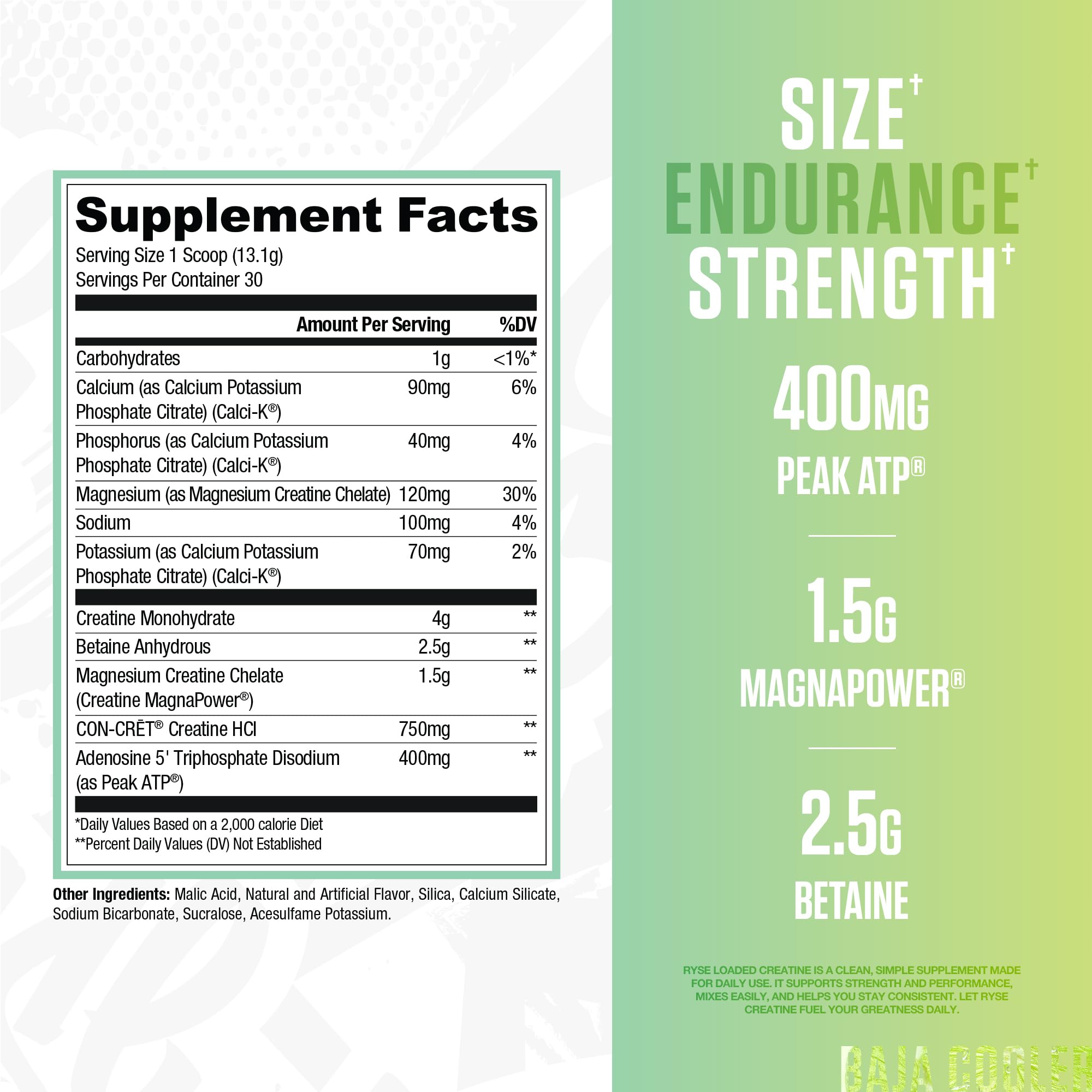 RYSE Loaded Creatine bottle back label reveals ingredients and usage guidance.