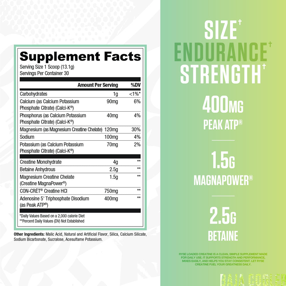 RYSE Loaded Creatine bottle back label reveals ingredients and usage guidance.