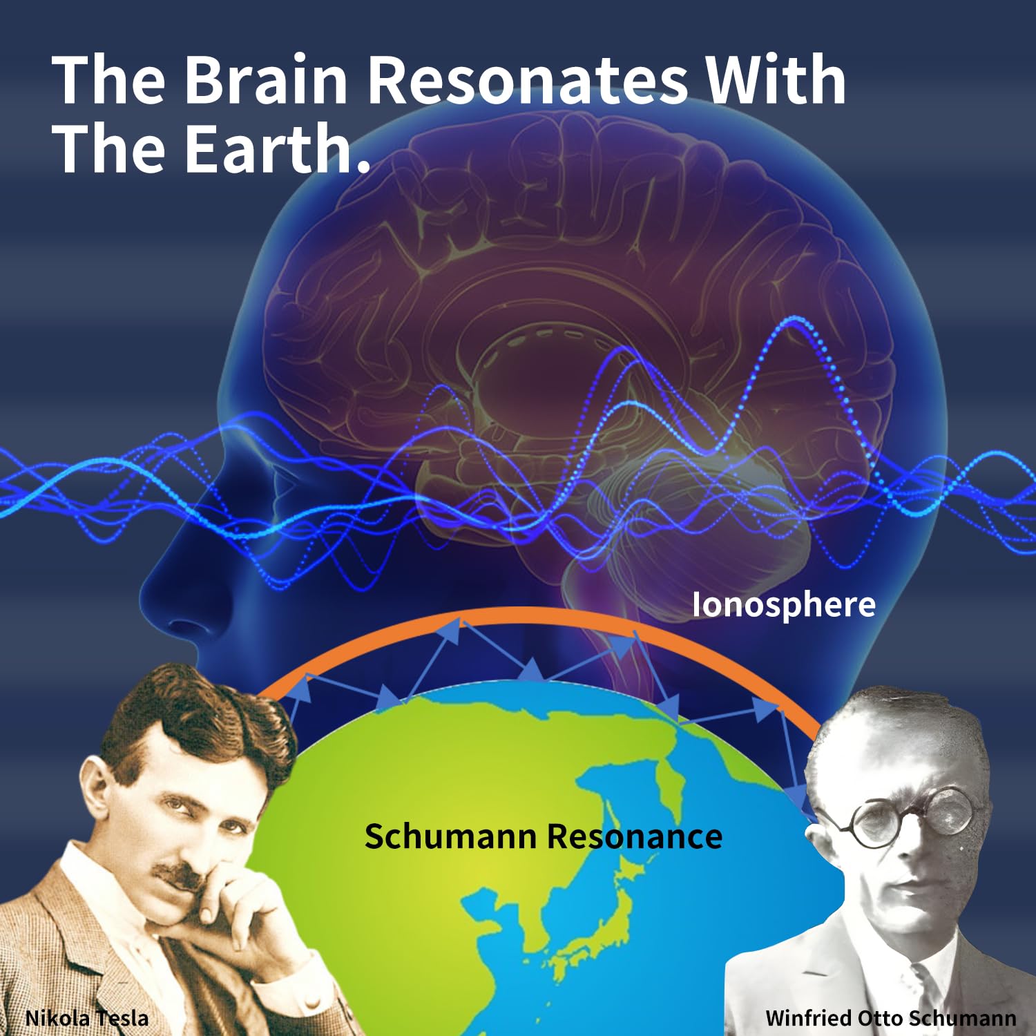 Saber-toothed Tiger Schumann Waves Generator packaging and accessories ready to use.