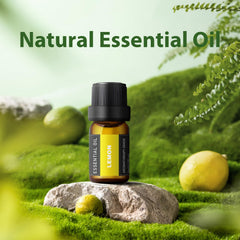 SACATR diffuser pour bottle, easy controlled use for diffusers