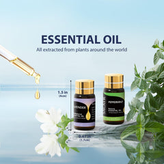 SACATR peppermint essential oil bottle ideal for refreshing diffusers