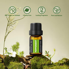 SACATR lavender oil from France ideal for calming home fragrance