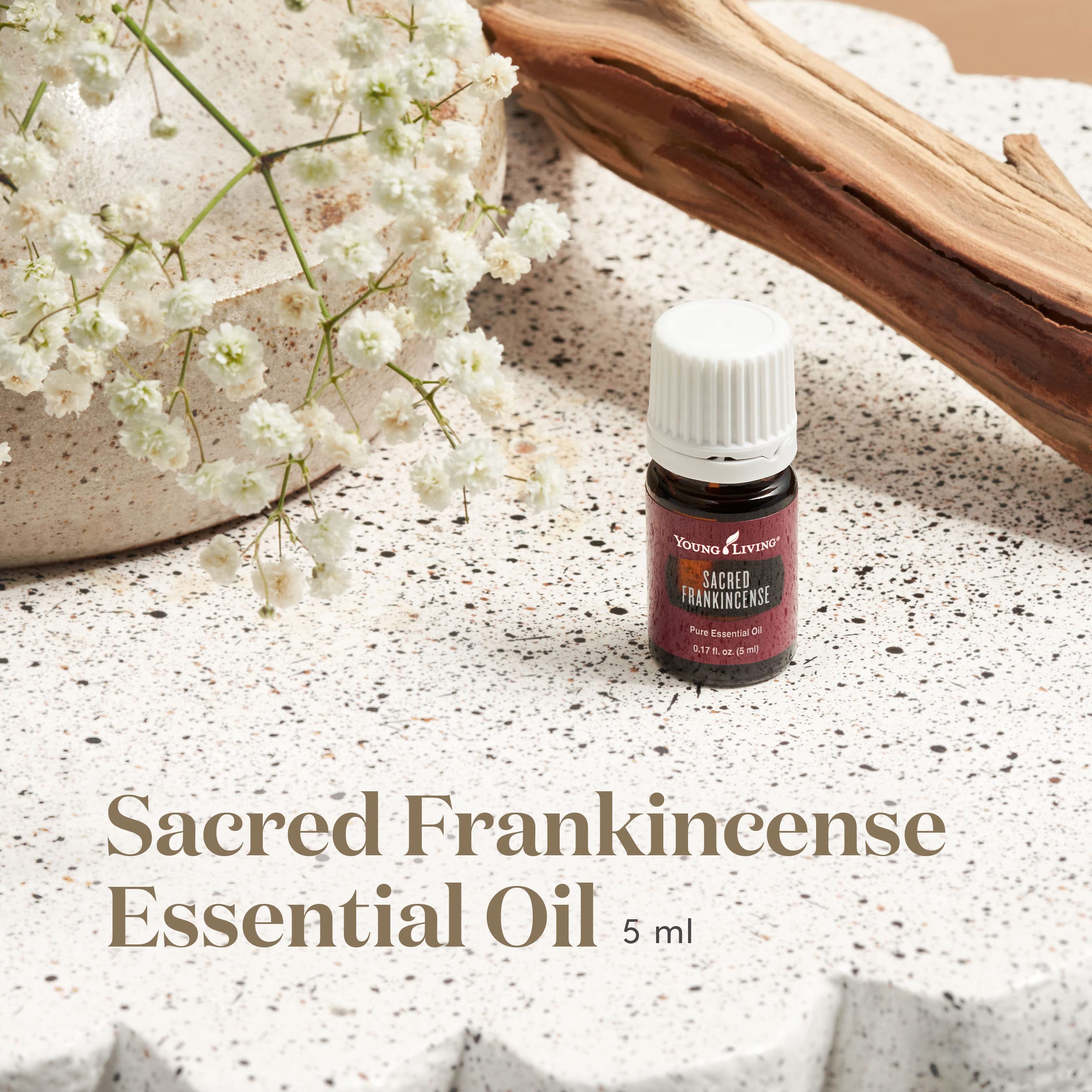Sacred Frankincense diffuser aroma creating a peaceful, woodsy atmosphere for meditation.