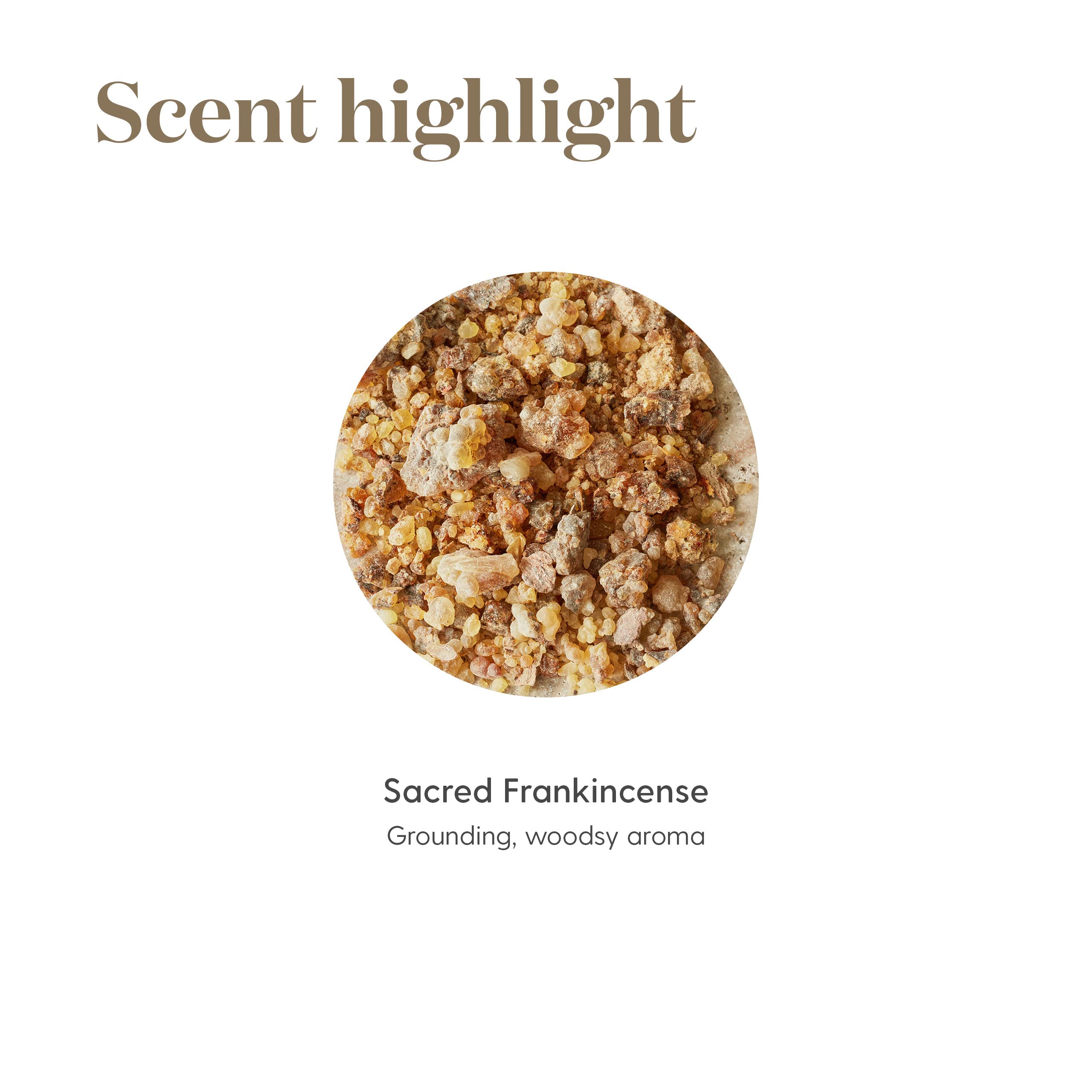 Sacred Frankincense woodsy aroma enhancing focus during prayer and yoga.