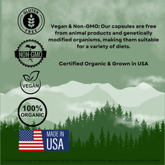 Sacred Tree Naturals organic mushrooms variety image emphasizing antioxidant-rich ingredients.