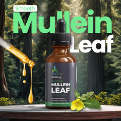Safefine mullein tincture bottle with dropper ideal for fast under-tongue administration.